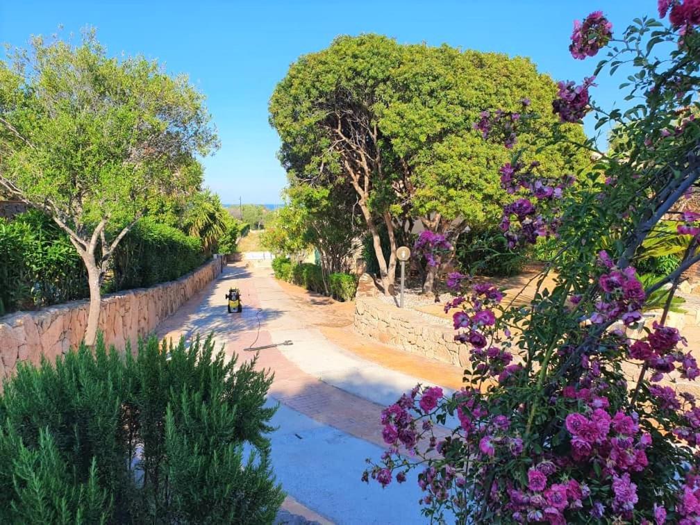 Villa Saba Olbia Exteriör bild