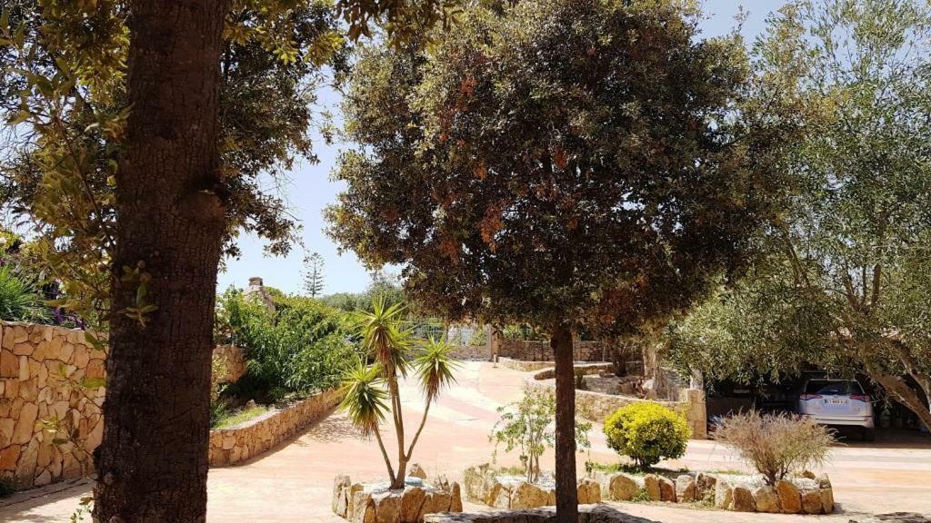 Villa Saba Olbia Exteriör bild