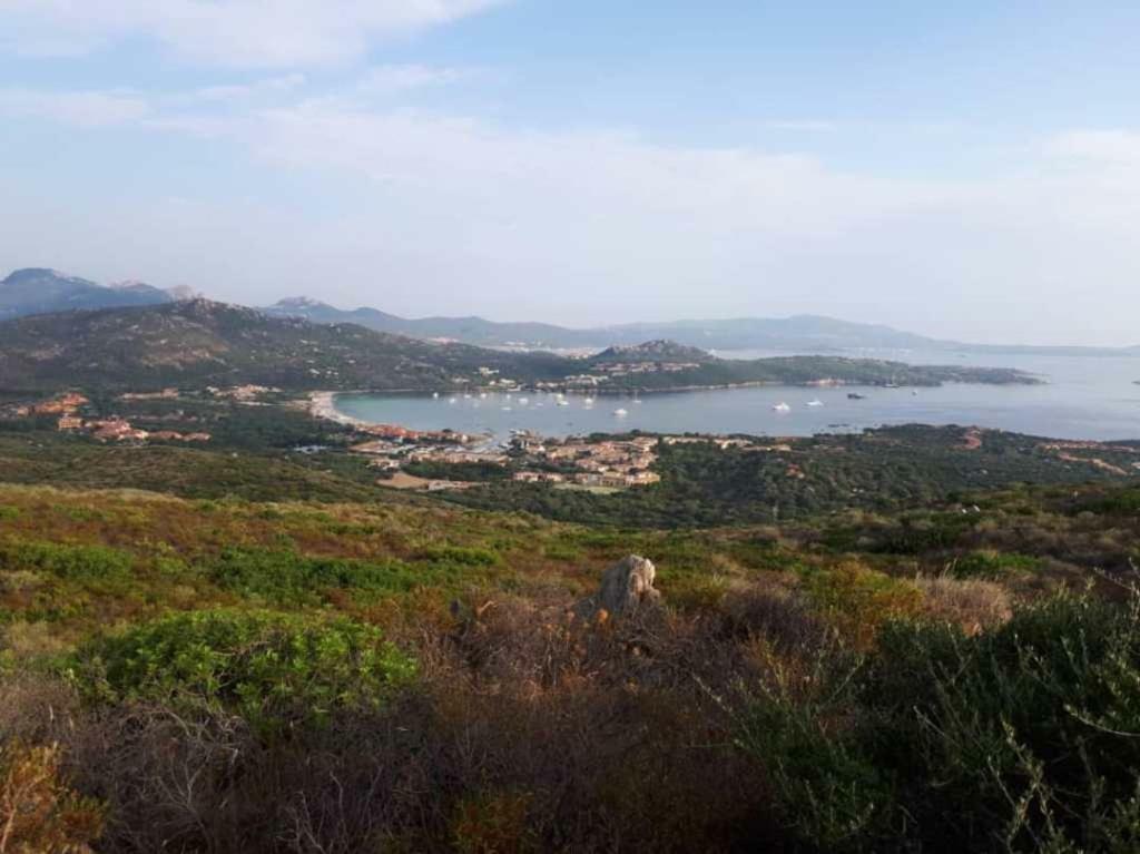 Villa Saba Olbia Exteriör bild