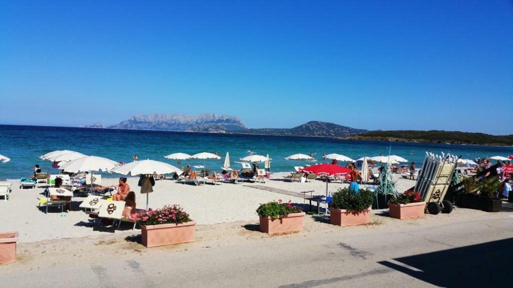 Villa Saba Olbia Exteriör bild