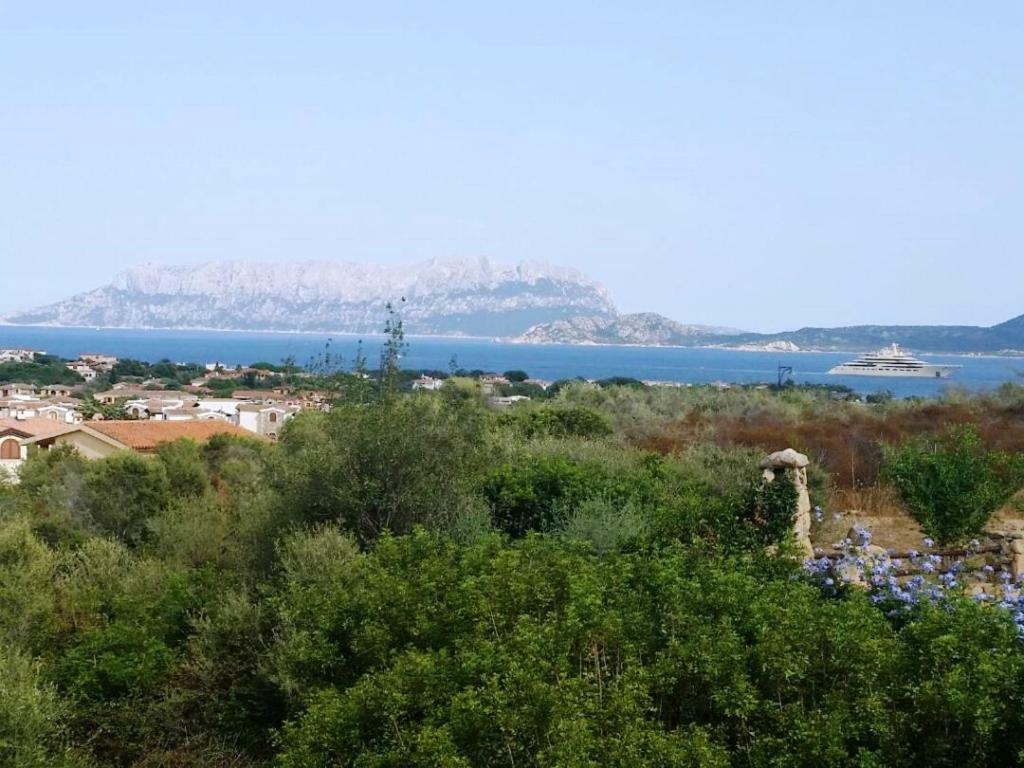 Villa Saba Olbia Exteriör bild