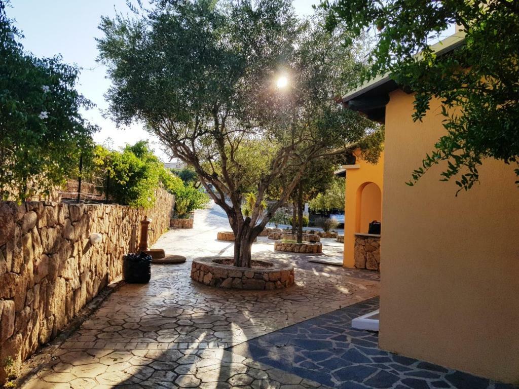 Villa Saba Olbia Exteriör bild