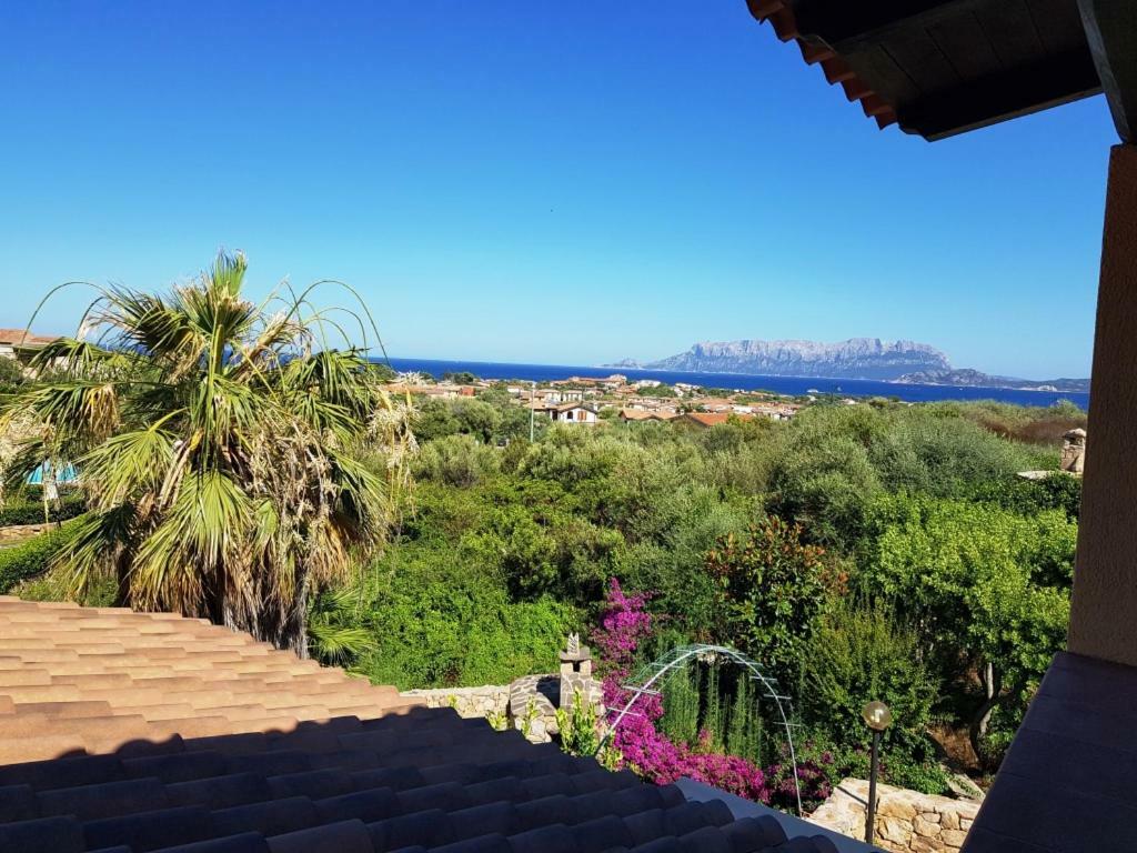 Villa Saba Olbia Exteriör bild